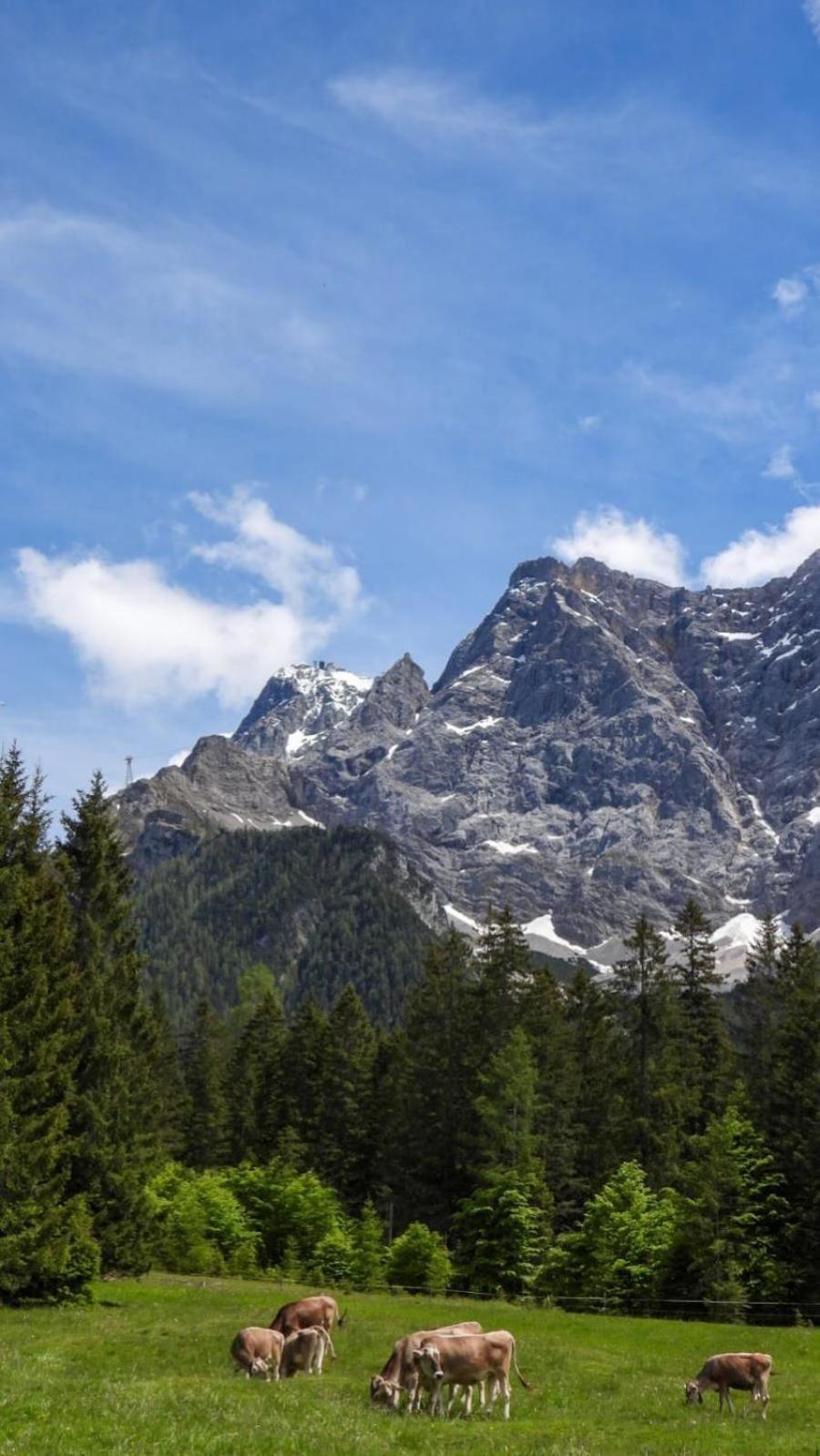 Haus An Der Sonne Fewo 2 Biberwier Bagian luar foto